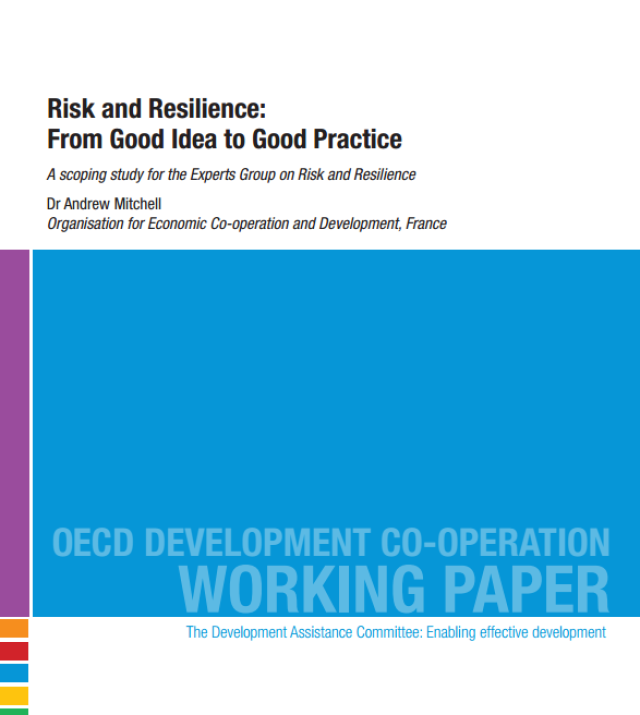 Download Resource: Risk and Resilience: From Good Idea to Good Practice