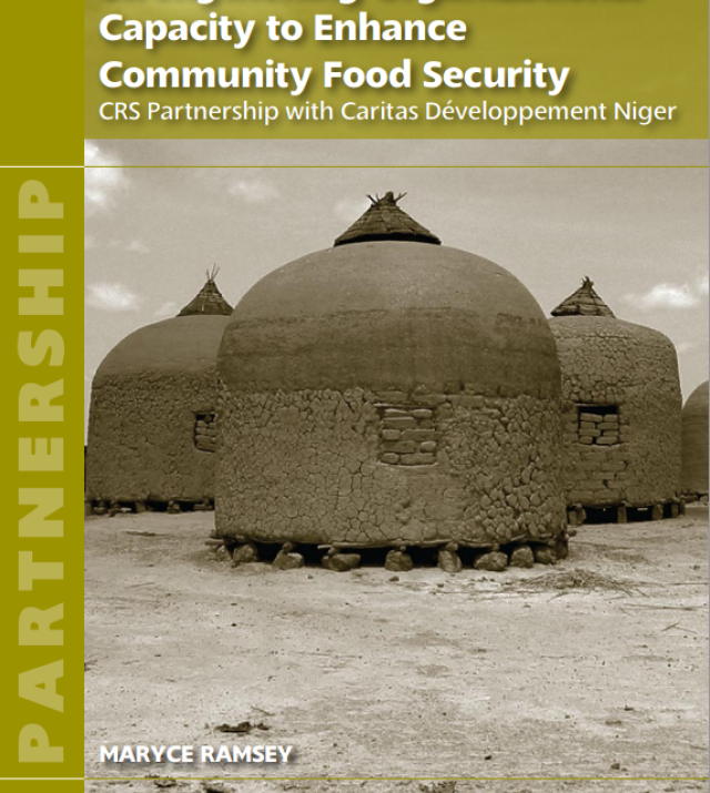 Download Resource: Strengthening Organizational Capacity to Enhance Community Food Security