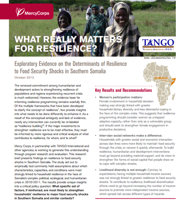 Download Resource: What Really Matters for Resilience? Exploratory Evidence on the Determinants of Resilience to Food Security Shocks in Southern Somalia