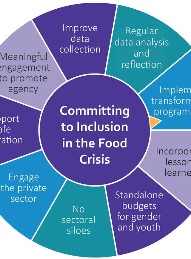 A graphic illustration of Committing to Inclusion in the Food Crisis, as a wheel. In the center of the wheel is "Committing to Inclusion in the Food Crisis". Clockwise from the top: Improve data collection; regular data analysis and reflection; implement transformative programming; incorporative programming; incorporate lessons learned; standalone budgets for gender and youth; no sectoral siloes; engage the private sector; support safe migration; meaningful engagement to promote agency.