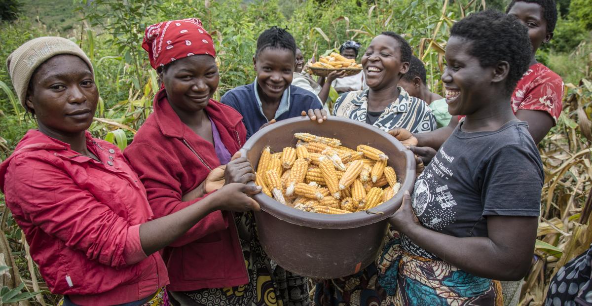 A community mothers group holds up fresh maize from their community garden in Zomba District, Malawi