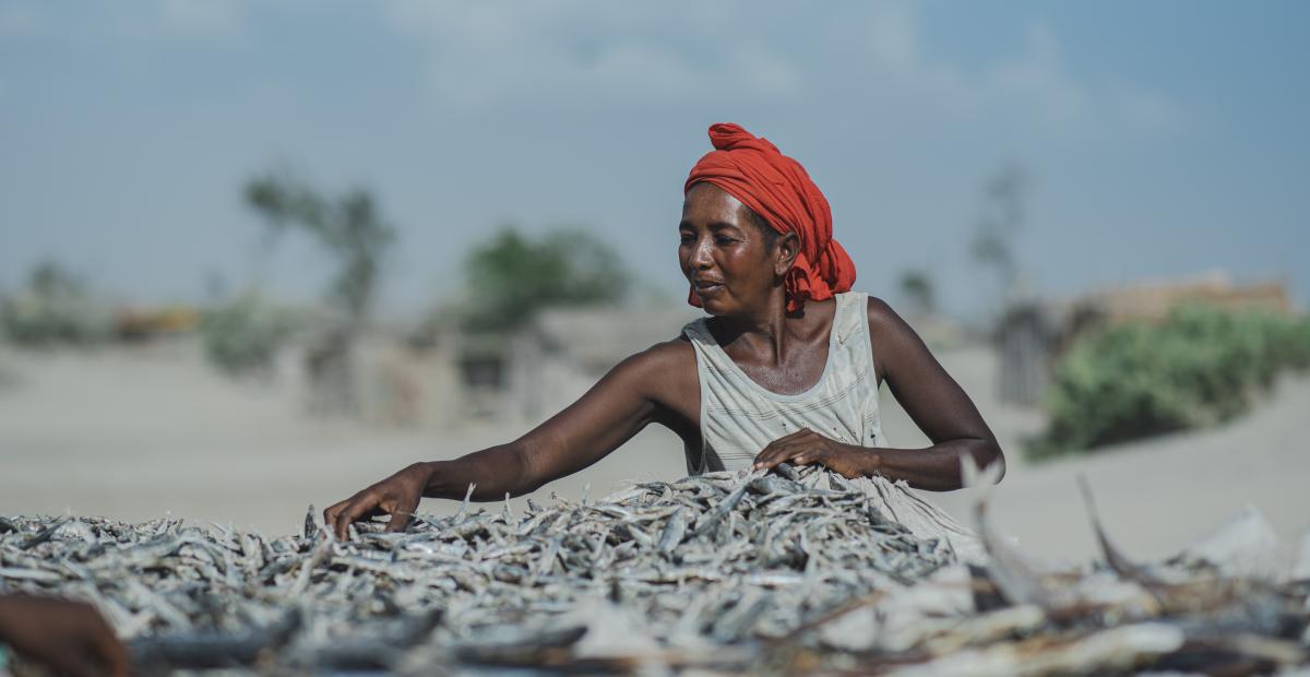 A woman wearing an orange scarf wrapped around her hair sorts through fish outside. She is a fisherwoman from the Fokontany of Lanirano in the District of Itampolo.