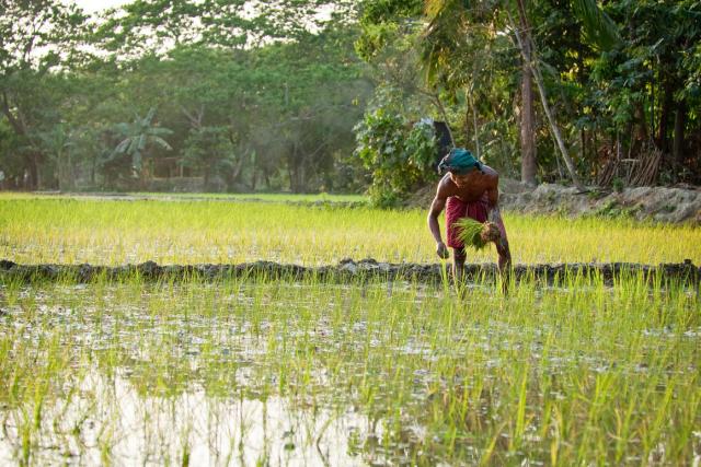 man in field