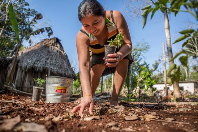 photo of woman farming