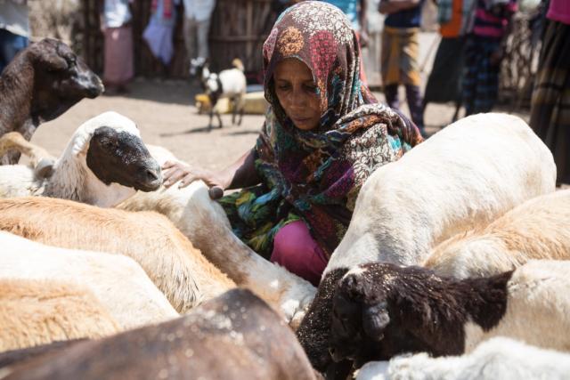 photo of woman with goats