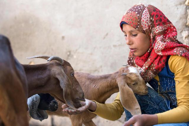 a woman feeding a goat