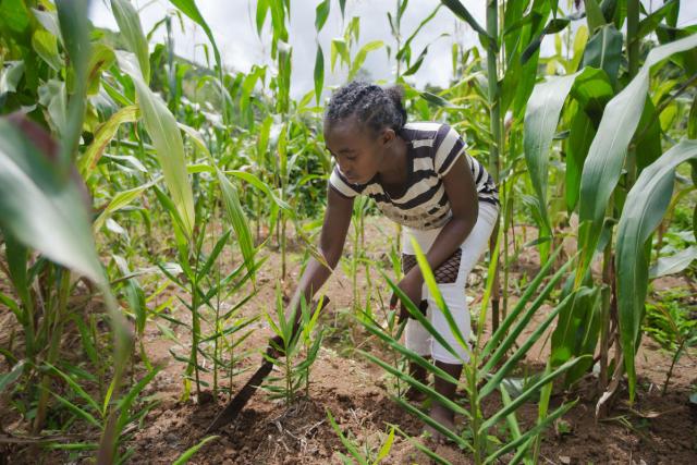 woman farming