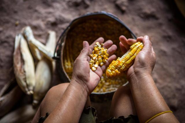 woman farming