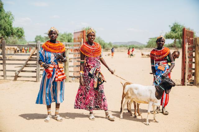 Women walking with goats