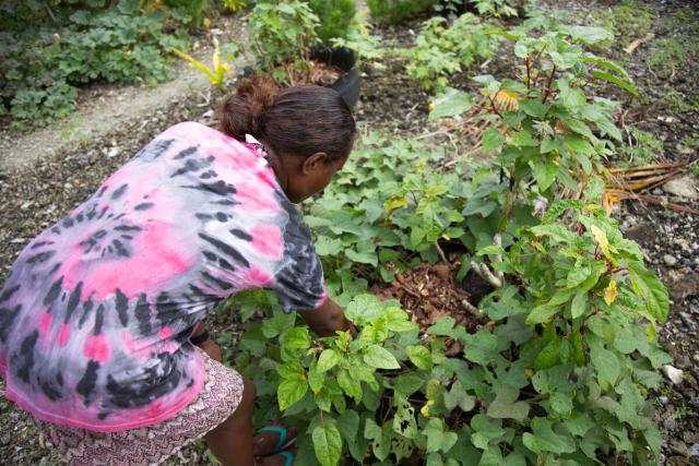 woman farming