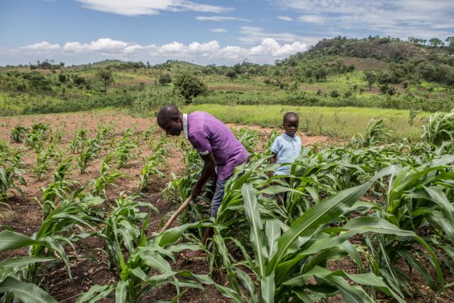 A father and son tend to their field in Mozambique.